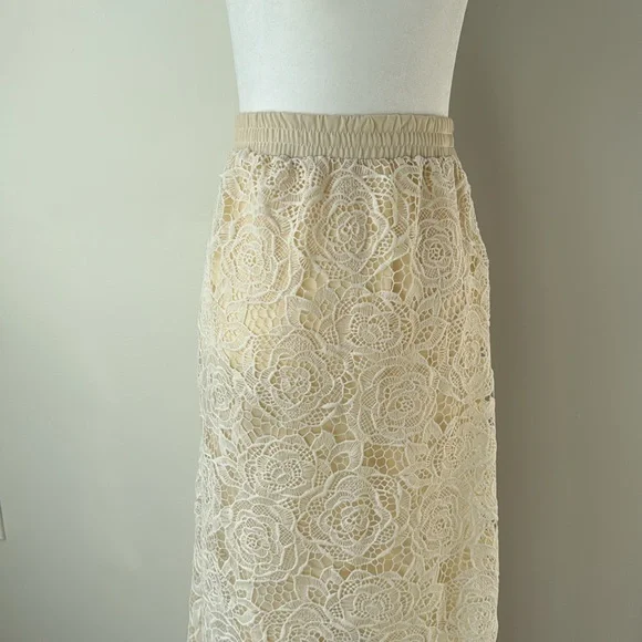 Chicwish Rose Cutwork Lace Maxi Skirt - Picture 3 of 5